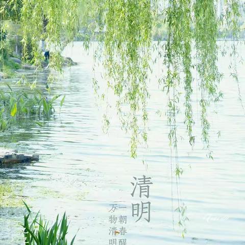 【清明时节·童心寄思】——727班语文创意作业展