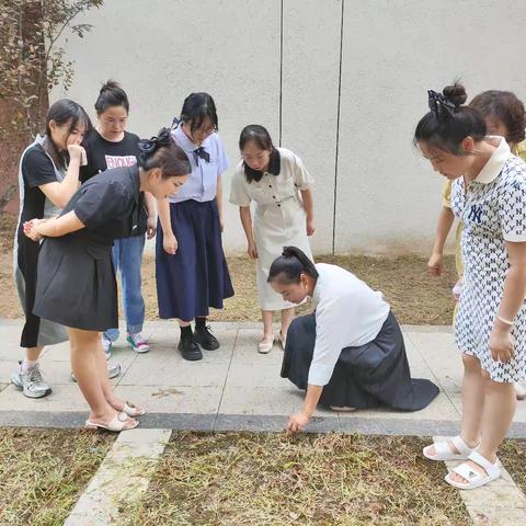 📣📣📣 【平安校园】筑牢安全防线 护航秋季入园——荆州区实验幼儿园（碧桂园分园）幼儿园开学前安全大排查🌞🌞🌞