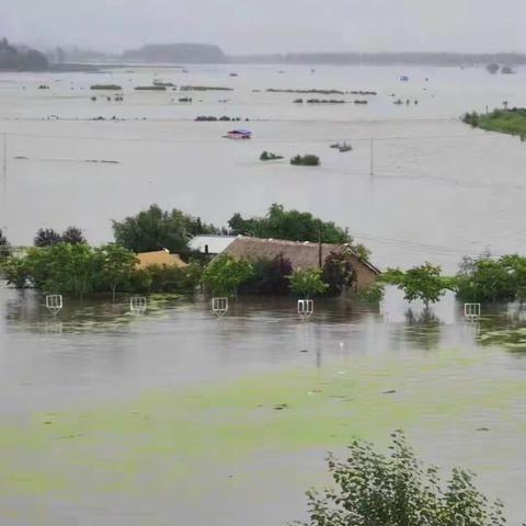 驰援五常  风雨同舟 ——大同区青年志愿者协会救灾物资顺利送达五常灾区