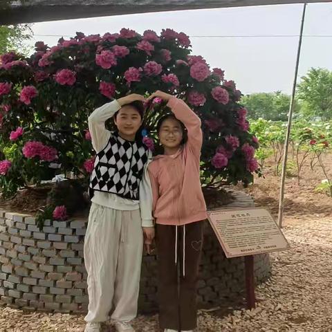 牡丹为笔绘童心：山村美育绽芳华