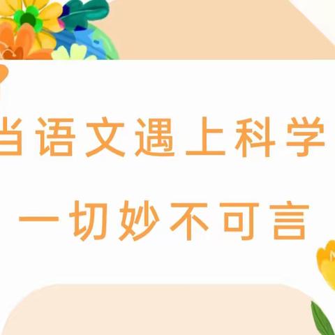 【班级活动】当语文遇上科学 一切妙不可言——白银区第十四小学四年级四班学科综合实践活动