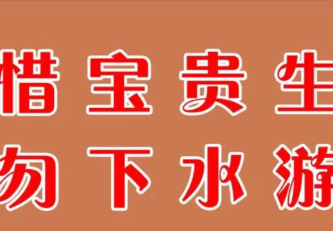 【校长进村居，万师进万家】——分界镇中心小学金河教学点暑假防溺水宣传教育家访活动