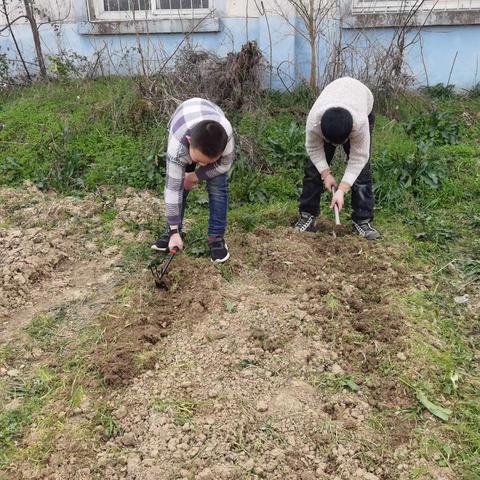 向塘镇西洛小学劳动教育活动展示