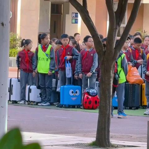 少年淬炼迷彩色 雏鹰展翅正当时