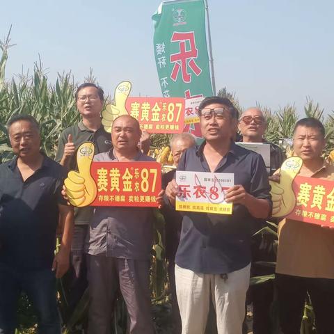 乐农87抗病又特高产，农民种了笑开颜