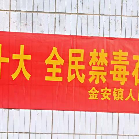 澄迈县金安镇(筹):“6.26国际禁毒日”,我们在行动！——金安开展禁毒宣传一条街活动