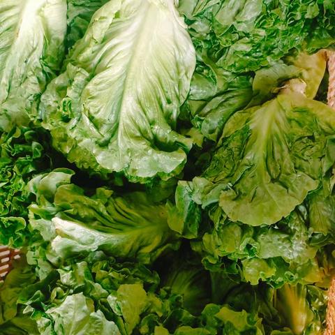 生“财”花开，爱意满怀——务川书院幼儿园母亲节主题活动