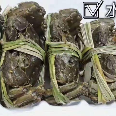 融｜🦀 正宗阳澄湖大闸蟹 侨｜🛒 扫码下单活蟹到家     ｜💝 让您的情意更鲜活 服｜🍃 纵享舌尖上的美味 务｜📢 蟹逅金秋品质蟹礼