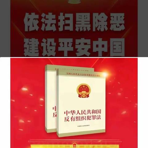 开展《反有组织犯罪法》宣传 营造风清气正社会环境