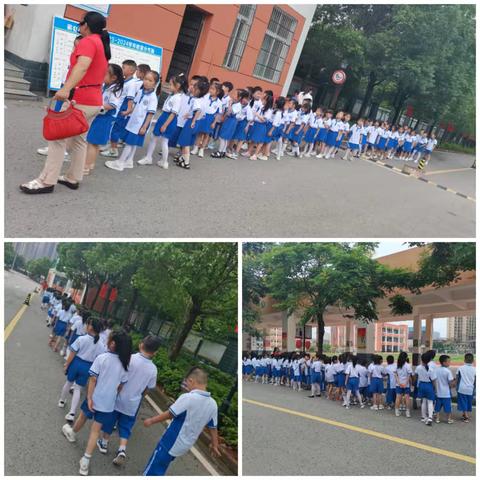 时光不语   静待花开