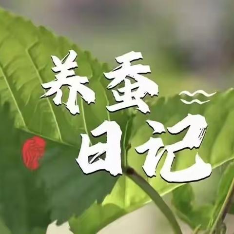 【田园课程】“蚕”的一生