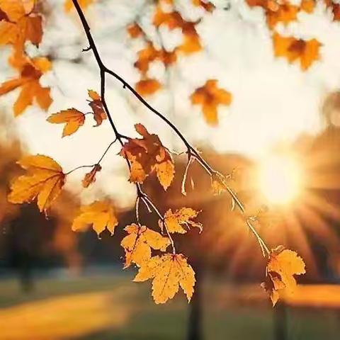 日盛物业旋城.东方名都十一月物业服务简报