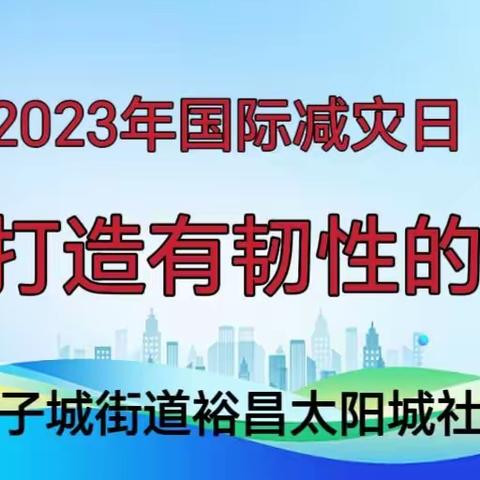 共同打造有韧性的未来——电子城街道裕昌太阳城社区开展第34个“国际减灾日”宣传活动