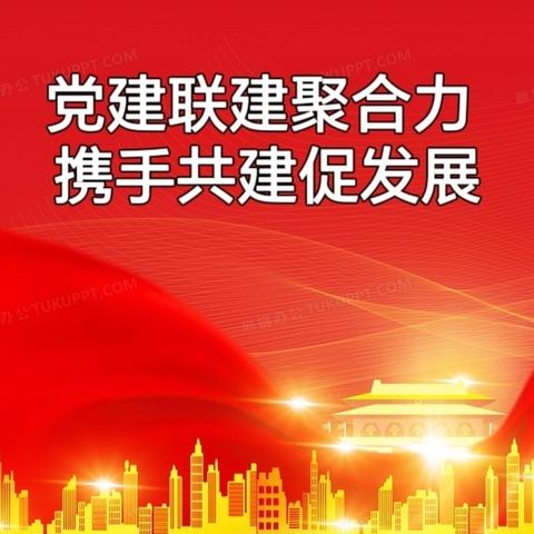 党建联建聚合力  携手共建促发展——电子城街道裕昌太阳城社区召开2024年度第三季度区域化党委联席会