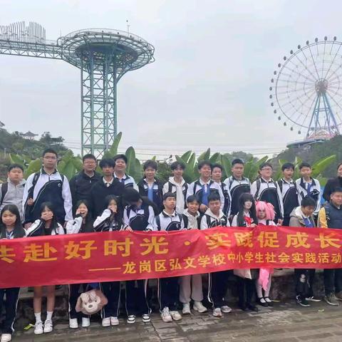 难忘的研学体验——803班