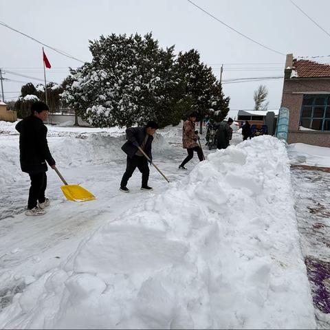 清扫积雪净校园，齐心协力促安全——新镇学区联合小学进行铲雪除冰行动