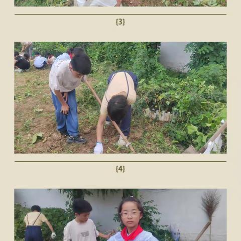 乐享种植，播种未来——华佗小学劳动种植活动：收获了！