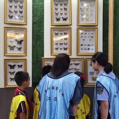 首个“全国生态日”-走进森林自然教育公益课堂活动