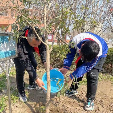 种下希望  收获美好——南鲁集镇实验小学开展植树系列活动