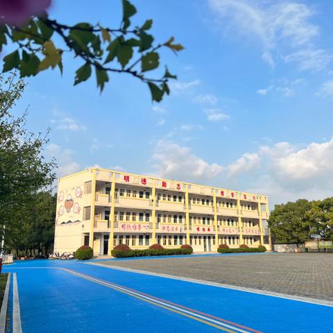 推进优质均衡  办好家门口的好学校 ‍——庐江县白山镇中心小学优质均衡创建工作阶段成效