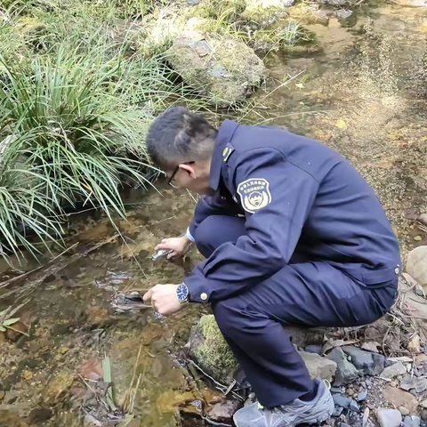 大田：驻点执法强监管 精准帮扶显成效