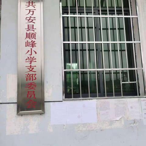 万安县顺峰中心小学食堂大宗物资供应商招标公告