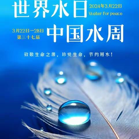 护水节水  你我同行——清流县城关小学“世界水日• 中国水周系列活动