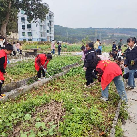 合山市上塘小学开展劳动实践教育活动