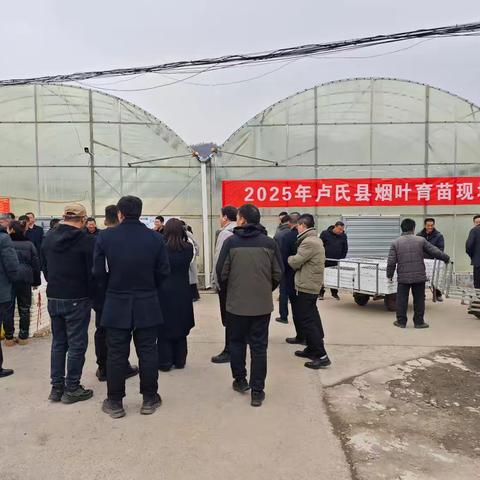 卢氏县分公司组织召开2025年烟叶育苗现场会