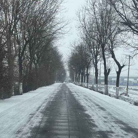 以雪为令 闻雪而动！何寨街道在行动