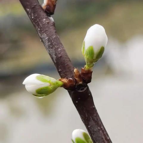 “龙”光焕发，共启新程