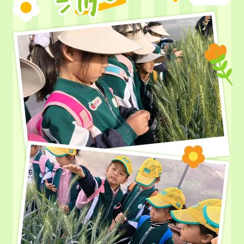 ☀️冬日暖阳，“趣”追耕☀️——元马镇中心幼儿园2024年秋季学期农耕文化课程社会实践活动