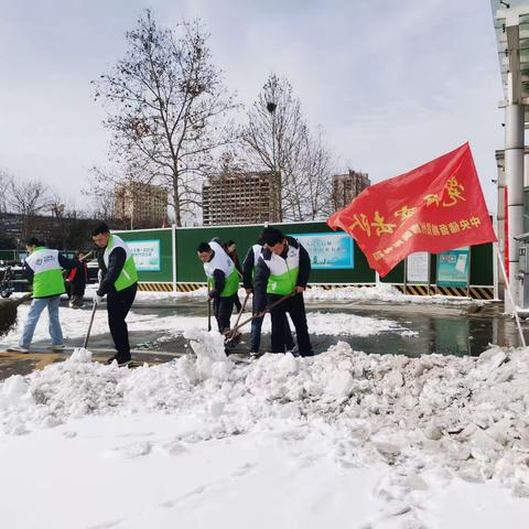 郑州直属库：春雪润大地，清雪暖人心