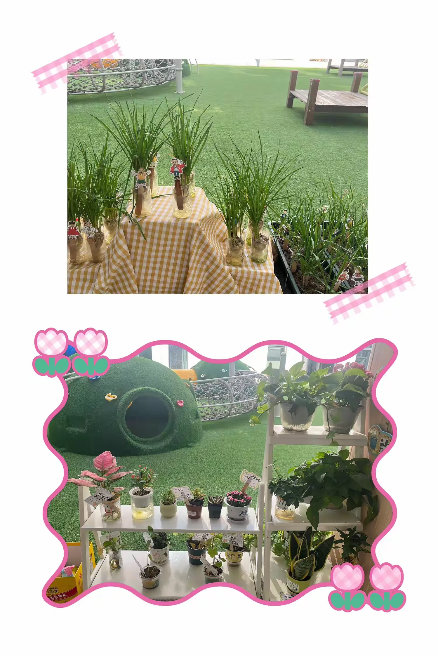 简篇-奇趣大自然,童趣小角落
实验澜岸幼儿园班级环创篇