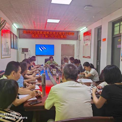 学习全会精神进行时||美兰区白龙街道机关党支部学习贯彻党的二十届三中全会精神