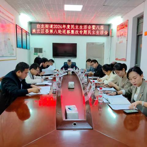 白龙街道2024年度民主生活会暨八届美兰区委第八轮巡察整改专题民主生活会