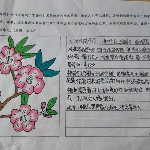 六年级一班国庆语文优秀特色作业