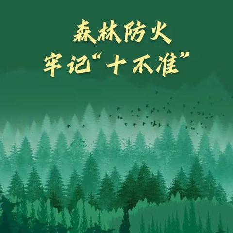 防患未“燃”，“森”生不息 ----森林防火安全宣传