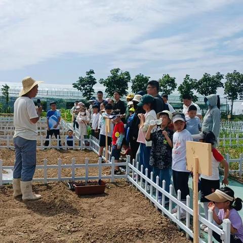 【国网河南能源设计院工会】“凝心聚力 欢乐农场”六一亲子活动