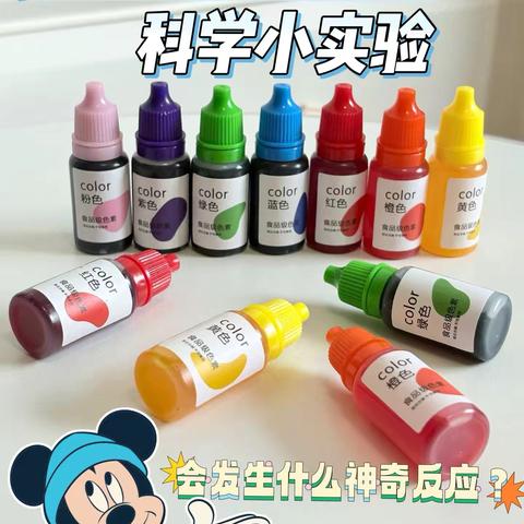 科学小实验——变色的白菜