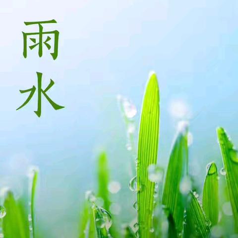 【传统文化】雨水落，万物生——“节日之约·雨水”主题活动