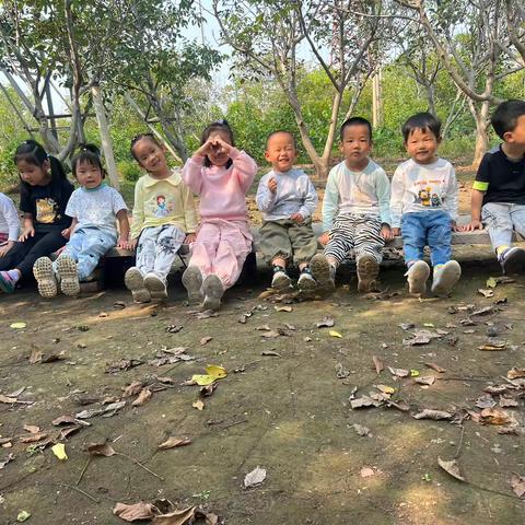 在秋天的怀抱里撒野——高新区香溪新城幼儿园