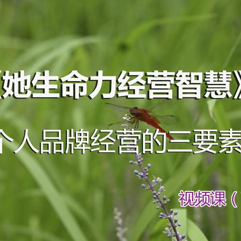 她生命力经营智慧之个人品牌经营的三要素下篇