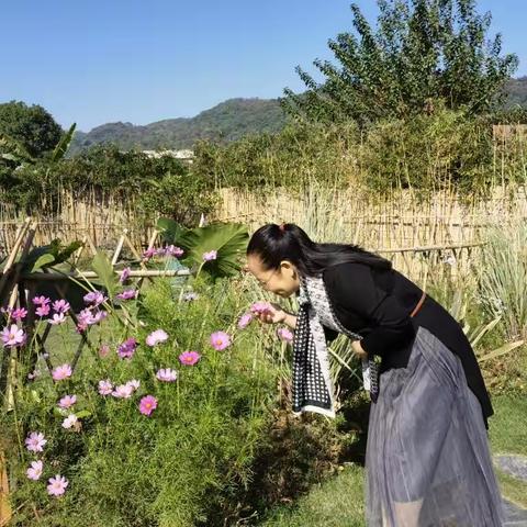 养花践行王阳明的知行合一