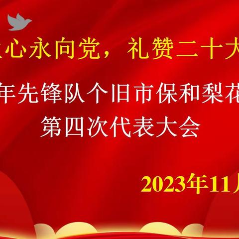 “童心永向党，礼赞二十大”中国少年先锋队个旧市保和梨花寨小学第四次代表大会