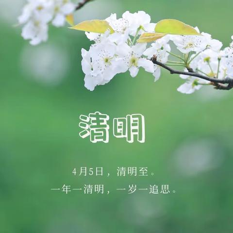 又见清明细雨时，缅怀先烈寄哀思——莲华小学、瓦屑坝小学清明节系列活动