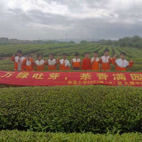 万绿吐芽    茶香满园 熟小一（9）班久煌中队           茶廉文化小队亲子活动