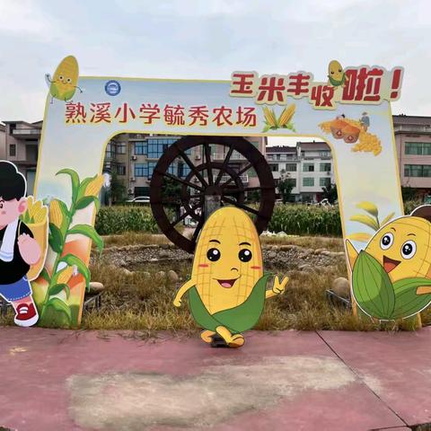 毓秀农场 ﻿玉米丰收啦！