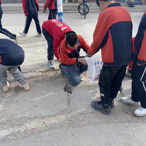 扎兰屯市哈多河镇学校——清捡垃圾志愿服务活动