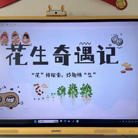 “花生奇遇记” ‍——武邑县第一幼儿园 ‍大一班班本活动
